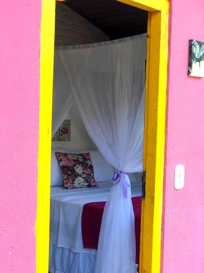 Flor De Pitaya * Porto Seguro